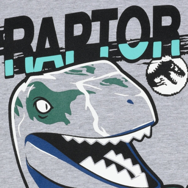 LEGO T-Shirt Jurassic World LICHTGRIJS (M12010042 - Maat 104)