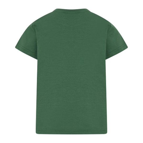 LEGO T-shirt Ninjago DONKERGROEN (LWTAYLOR 324 - Maat 110)
