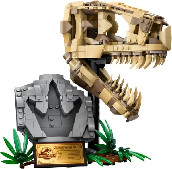 LEGO 76964 T-Rex Schedel