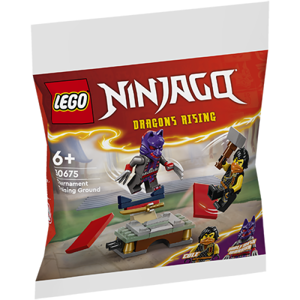 LEGO 30675 Toernooi Trainingsveld  (Polybag)
