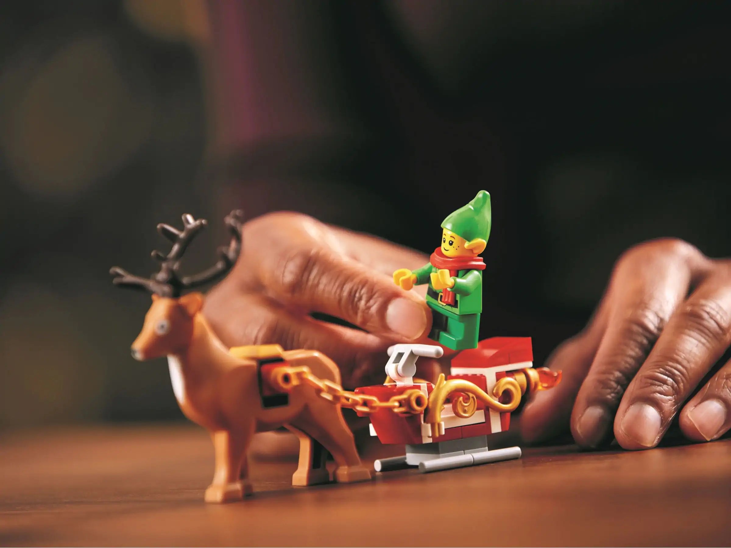 LEGO Creator Expert 10275 Elf Clubhuis